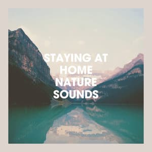 Staying at Home Nature Sounds - Musique et sons naturels