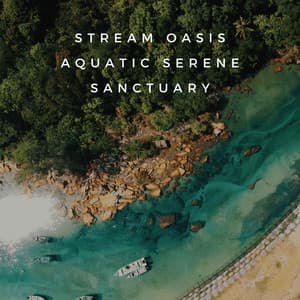 Stream Oasis: Aquatic Serene Sanctuary - Streams & Mist