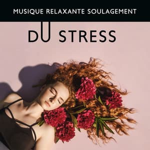 Musique relaxante soulagement du stress - Zone de la musique zen