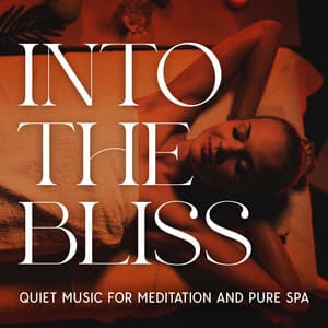 Into the Bliss: Quiet Music for Meditation and Pure Spa - Insomnia Innocence