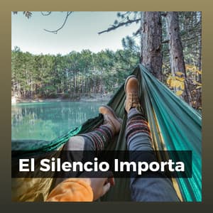 El Silencio Importa - Reiki y Tai Chi Armonía