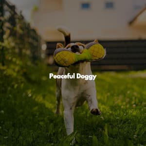 Peaceful Doggy - Brazilian Jazz Deluxe