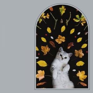 Backdrop for Peaceful Times with Cat - Harmonica Solo - Cat Music Relaxation
