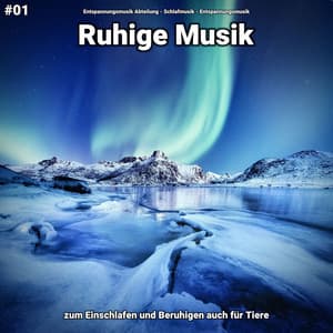 #01 Ruhige Musik zum Einschlafen und Beruhigen auch für Tiere - Entspannungsmusik Abteilung