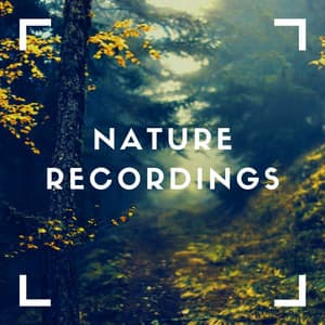 Clean Mountain Rain - Natural Sample Makers