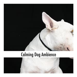 The Slow Unfolding - Clayton Calm