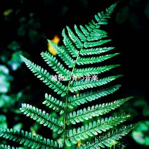 植物の育つ音楽 - Music for Focus