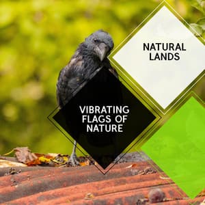 Vibrating Flags of Nature - Natural Lands - Sleepy Times