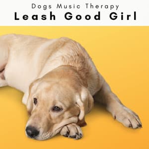 4 Dogs: Leash Good Girl - Dogs Music Therapy