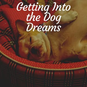 Getting into the Dog Dreams - Dog Music