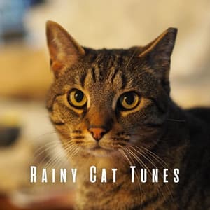 Rainy Cat Tunes: Theta Waves and Binaural Harmony - Stereo Storm