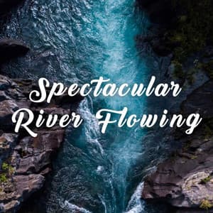 Spectacular River Flowing - Water Soundscapes