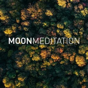 Midnight Calm - Moon Meditation
