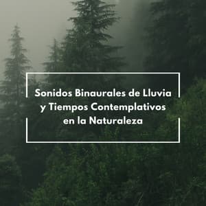 Sonidos Binaurales De Lluvia Y Tiempos Contemplativos En La Naturaleza - Ritmos binaurales Estudiar música