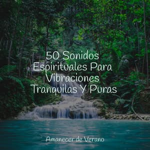 50 Sonidos Espirituales Para Vibraciones Tranquilas Y Puras - Canciones Infantiles de Niños