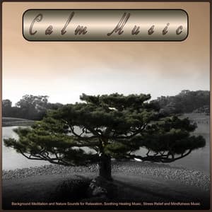 Calm Music: Background Meditation and Nature Sounds for Relaxation, Soothing Healing Music, Stress Relief and Mindfulness Music - Relaxing Music Therapy