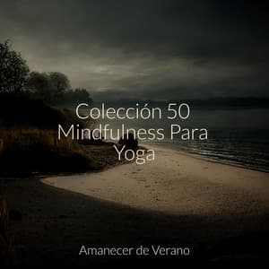 Colección 50 Mindfulness Para Yoga - kinderliedjes