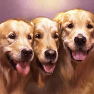 Soothing Sounds Dogs Love - Soothing Dog Sounds