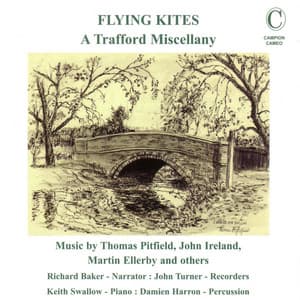 Flying Kites - A Trafford Miscellany - John Turner