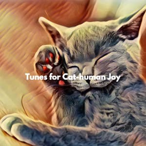 Tunes for Cat-human Joy - Musica de Bar De Lujo