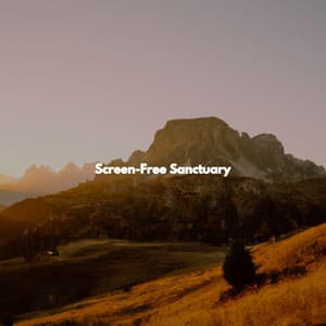 Screen-Free Sanctuary - Feel Good Jazz
