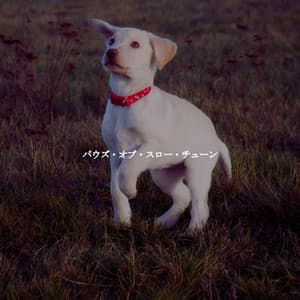 パウズ・オブ・スロー・チューン - Wine Bar Music