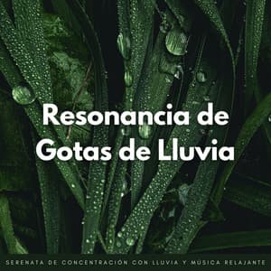 Resonancia De Gotas De Lluvia: Serenata De Concentración Con Lluvia Y Música Relajante - Efectos especiales de lluvia del bosque