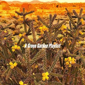 A Green Garden Playlist - Cafe BGM