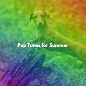 Pup Tunes for Summer - Relaxing Chillout Lounge