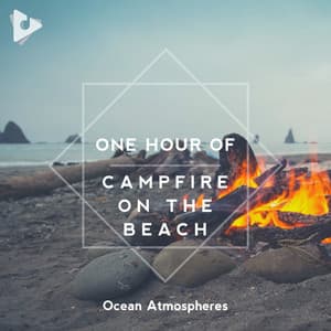 1 Hour of Campfire on the Beach - Ocean Atmospheres