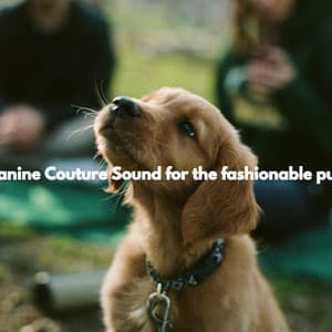 Canine Couture Sound for the fashionable pup - Dog Music Waves