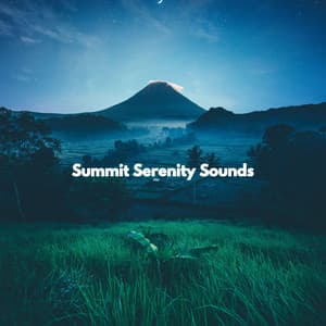 Summit Serenity Sounds - Study Jazz