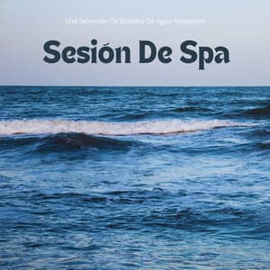Sesión De Spa: Una Selección De Sonidos De Agua Relajantes - Centro de Efectos de Agua