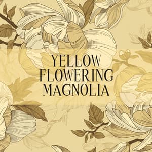 Yellow Flowering Magnolia - Soundscapes!