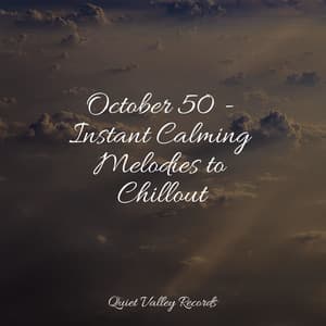 October 50 - Instant Calming Melodies to Chillout - Rainforest