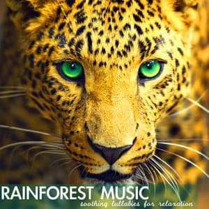 Rainforest Music - Soothing Lullabies for Relaxation, Relaxing Sounds of Nature Background - Lucy Blacktop
