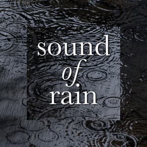 Sound of Rain - Natural Soundscape Society