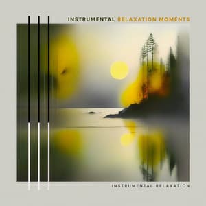 Instrumental Relaxation Moments - Instrumental Relaxation