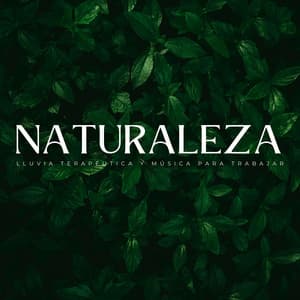 Naturaleza: Lluvia Terapéutica Y Música Para Trabajar - Estado de ánimo de lluvia