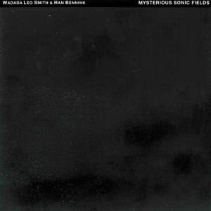 Mysterious Sonic Fields - Wadada Leo Smith