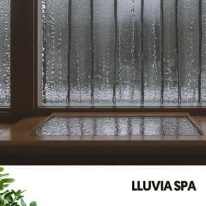 Lluvia Spa: Serenity in Every Drop - Cat Music Therapy