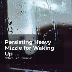 Persisting Heavy Mizzle for Waking Up - Nature Rain Relaxation