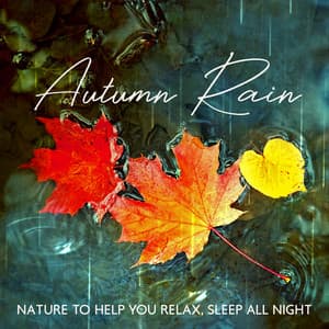 Autumn Rain - ASMR Zone