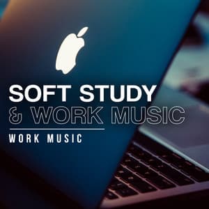 Soft Study & Work Music - Work Music