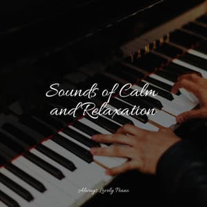 50 Meditation Sounds for Working and Studying - Piano Pacifico