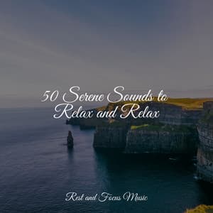 50 Serene Sounds to Relax and Relax - White Noise For Baby Sleep