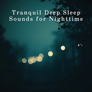 Tranquil Deep Sleep Sounds for Nighttime - Relaxing Piano Crew