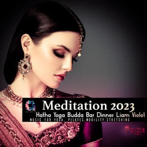Meditation 2023 - Hatha Yoga