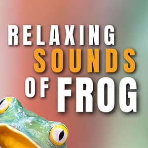 Relaxing sounds of Frog - Frog Sounds