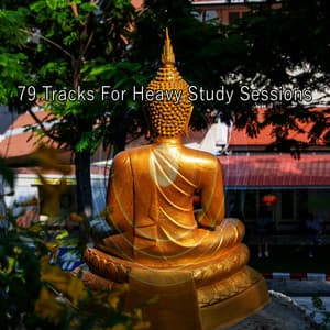 79 Tracks For Heavy Study Sessions - Zen Meditation